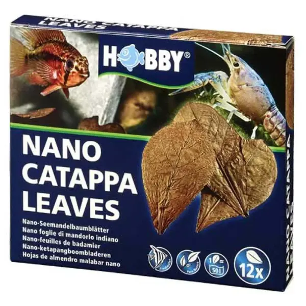 HOBBY Nano Catappa Leaves- 12 ks listy Catappa z Mandľovníka morského (Terminalia catappa)