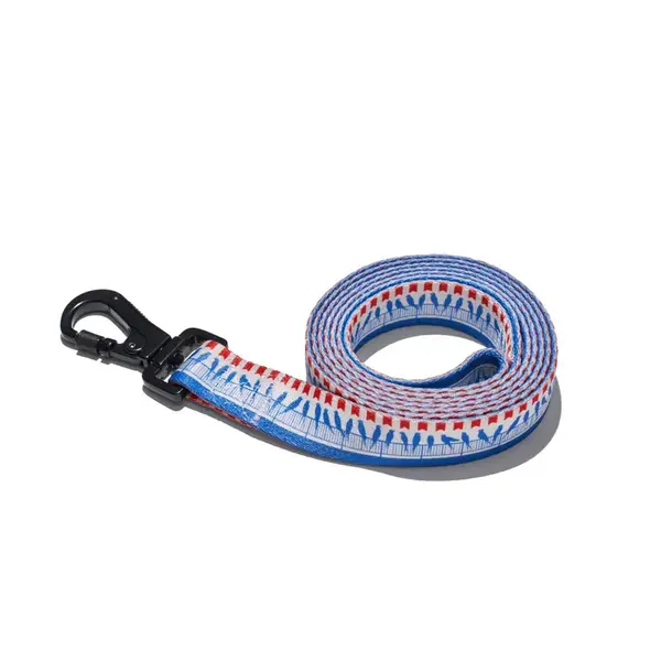 Explorer dog Vodítko Ptáci L - 170x2,5 cm