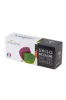 Semenná vložka Veritable Perila křovitá 13 x 4 x 5 cm