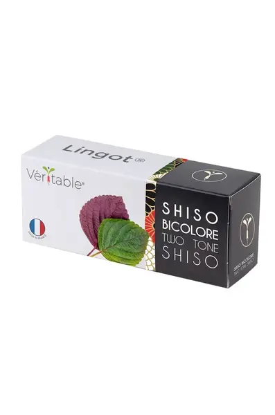 Semenná vložka Veritable Perila křovitá 13 x 4 x 5 cm