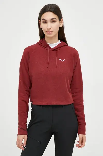 Sportovní mikina Salewa Lavaredo Hemp