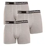 Horsefeathers 3PACK pánské boxerky Dynasty heather gray (AM067C) M