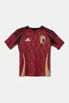 Dětské tričko adidas Performance vínová barva, IQ0777