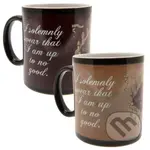 Meniaci sa keramický hrnček Harry Potter