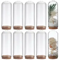 10Pcs Glass Dome Cloche Cover