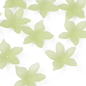 Transparent Acrylic Beads