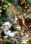 Jelen a srnka u lesního potoka 30x40cm (Diamantové malování)