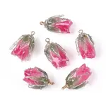 Transparent Acrylic Pendants