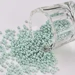 11/0 FGB Grade A Baking Paint Glass Seed Beads