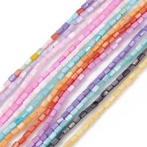 Natural Freshwater Shell Dyed Beads Strands