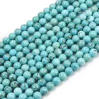 Natural Magnesite Beads Strands