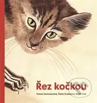 Řez kočkou - Robin Král - kniha z kategorie Beletrie pro děti