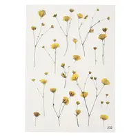 Waterproof Plastic Self Adhesive Stickers