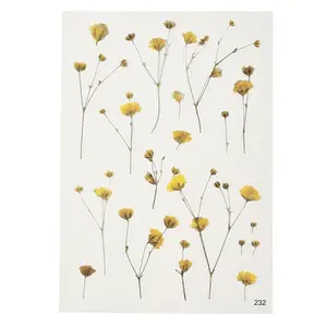 Waterproof Plastic Self Adhesive Stickers