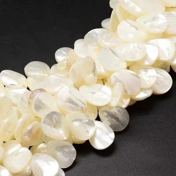 Natural Trochid Shell/Trochus Shell Beads Strands