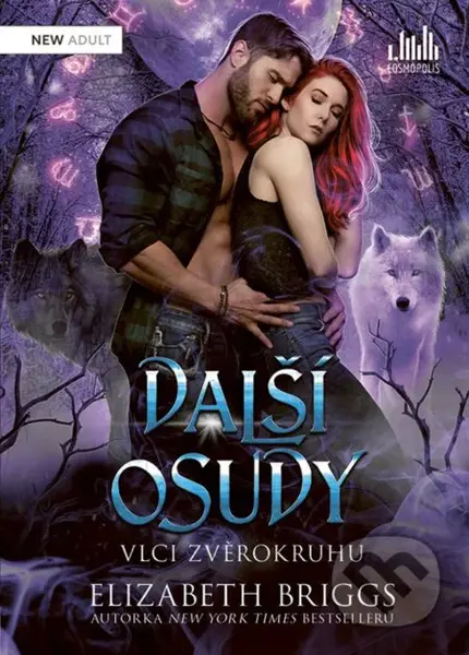 Další osudy - Elizabeth Briggs - kniha z kategorie Fantasy