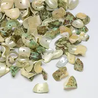 Dyed Natural Spiral Shell Chips Beads