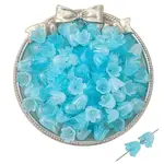 100Pcs Acrylic Bead Caps