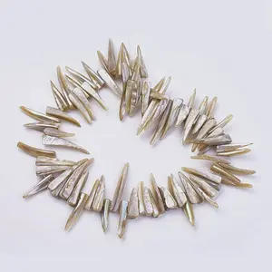 Natural Shell Beads Strands