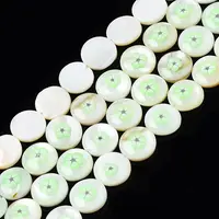 Natural Freshwater Shell Enamel Beads