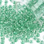 6/0 Glass Seed Beads