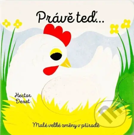 Právě teď… (Malé velké změny v přírodě) - Hector Dexet - kniha z kategorie Naučné knihy