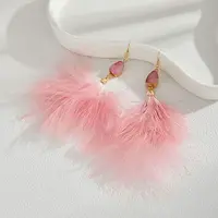 Feather Dangle Earrings