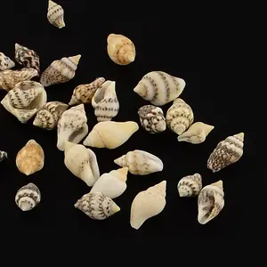 Natural Spiral Shell Beads