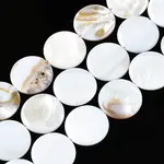 Natural Freshwater Shell Beads Strands