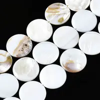 Natural Freshwater Shell Beads Strands