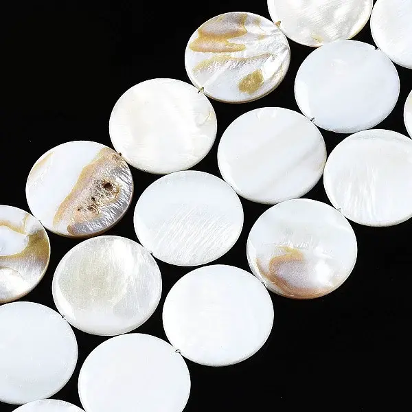 Natural Freshwater Shell Beads Strands