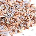 Glass Seed Beads