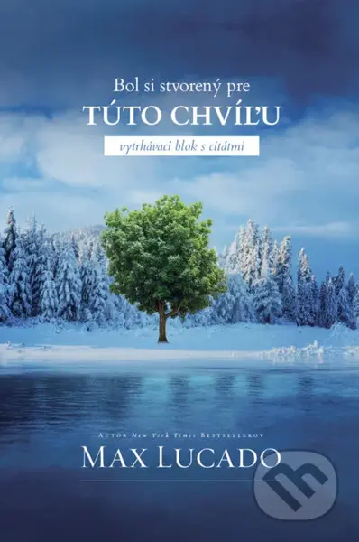 Bol si stvorený pre túto chvíľu - vytrhávací blok s citátmi - kniha z kategorie Křesťanství