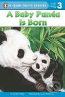 A Baby Panda Is Born - Kristin Ostby - kniha z kategorie Pohádky
