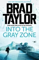 Into the Gray Zone - Brad Taylor