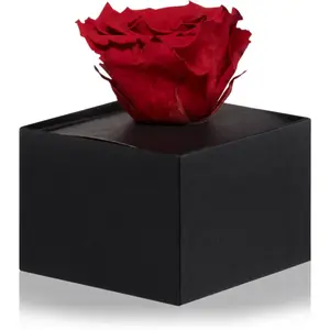 RoseAmor Red stabilizovaná ruža v krabičke 1 ks