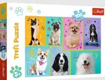 Trefl Puzzle V psím světě 100 dílků