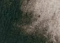 Akvarelová barva DS 15ml – 110 van Dyck Brown