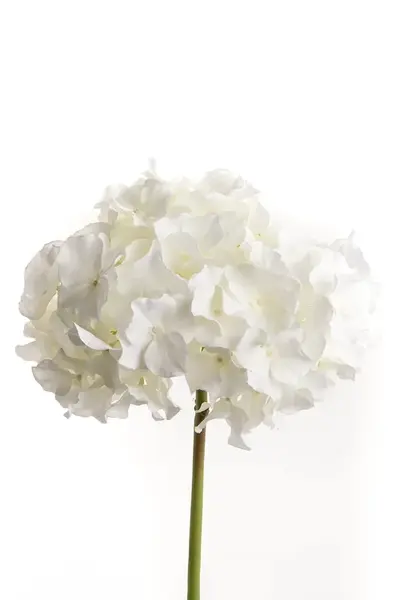 Umělé květiny home & lifestyle 48 cm