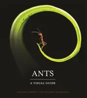 Ants - Benjamin Blanchard, Heather Campbell