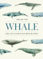 Whale - Asha de Vos