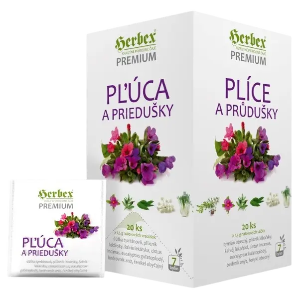 HERBEX Plíce a průdušky nálevové sáčky 20 x 1.5 g