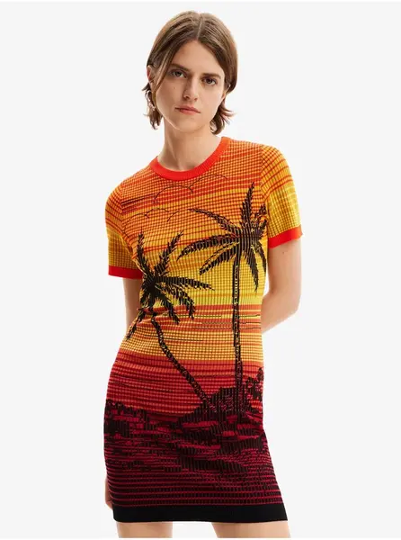 Dámské šaty DESIGUAL