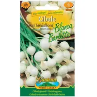 Cibuľa jarná Blanca Barletta, lahôdková biela