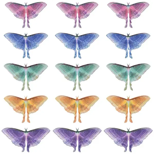 20Pcs 5 Colors Cloth Simulation Gauze Butterfly Ornament Accessories