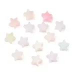 UV Plating Opaque Acrylic Beads