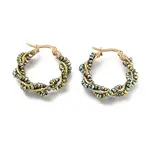 304 Stainless Steel Hoop Earrings