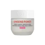 GINSENG POWER