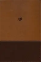 NBLA, Biblia Cronologica de Estudio, Interior a cuatro colores, Leathersoft, dos tonos cafe, Comfort Print - NBLA-Nueva Biblia de Las Americas, Vida