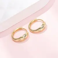 Fireworks 925 Sterling Silver Micro Pave Clear Cubic Zirconia Hoop Earrings